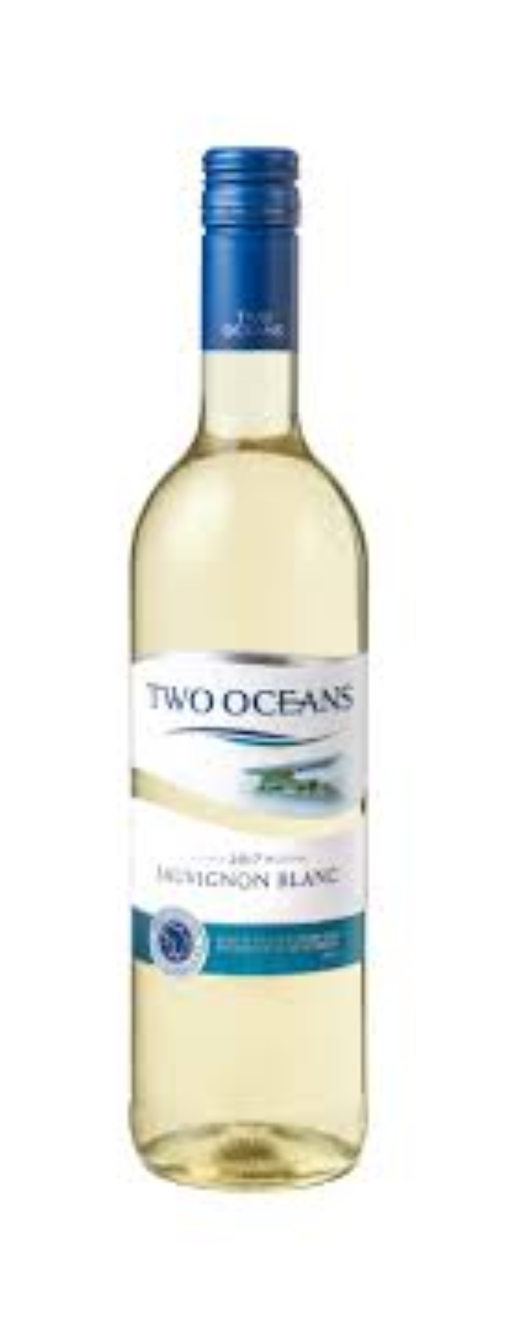 TWO OCEAN SAUVIGNON BLANC 750ML